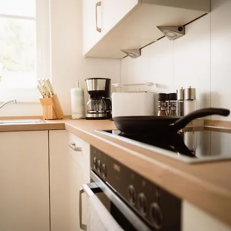 Prázdninový dům Vechtestrand - *